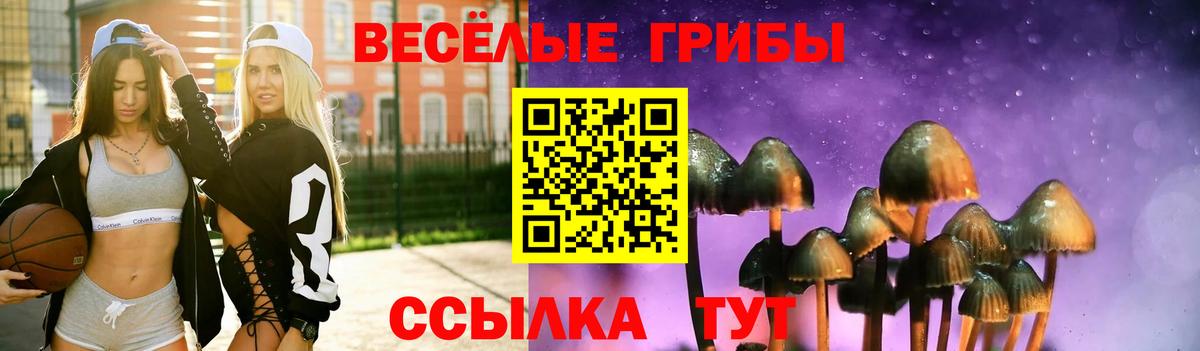 Галлюциногенные грибы прущие грибы  Галлюциногенные грибы MAGIC MUSHROOMS  Вход с VPN  Звенигород 